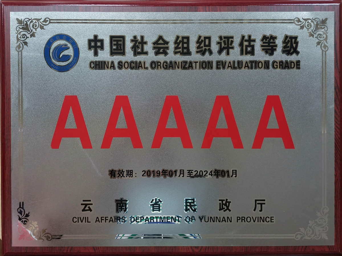 协会风采