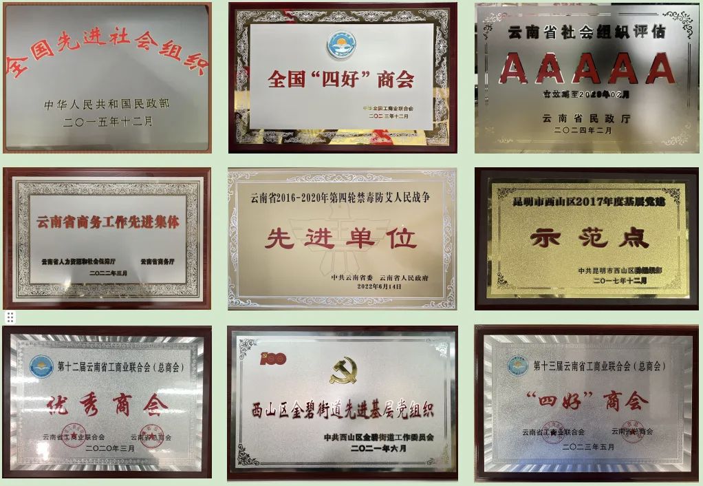 荣誉资质证书