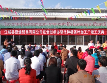 开展替代种植 发展替代产业