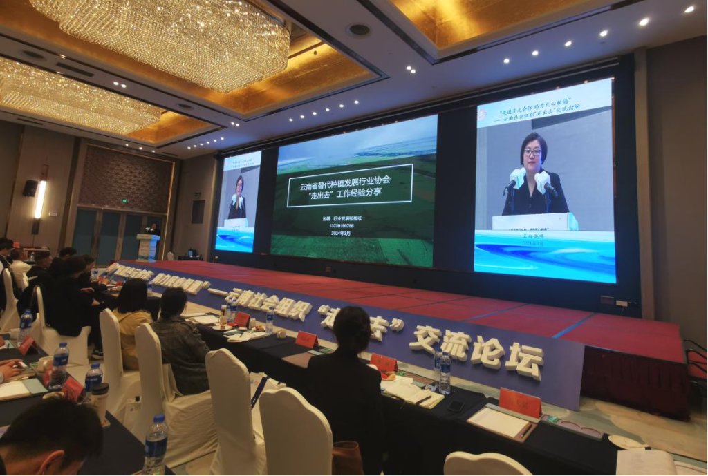 我会受邀在云南社会组织走出去交流论坛上分享工作经验