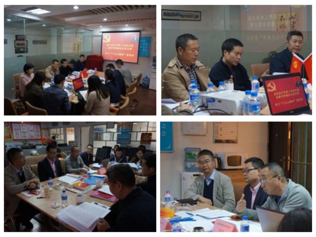 学习贯彻十九大精神 推动替代行业创新发展