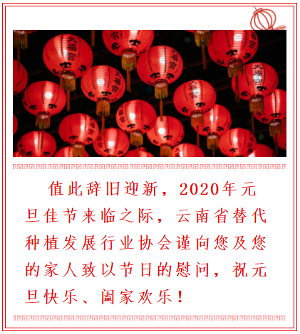 庆元旦 迎新年