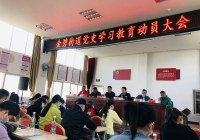 金碧街道党史学习教育动员大会
