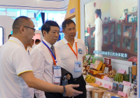 杨慧副厅长参观南博会替代种植成效展示馆
