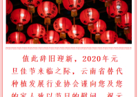 庆元旦 迎新年