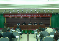 强化企业管理 规范企业行为 维护替代秩序