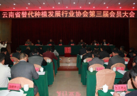 承前启后 继往开来
