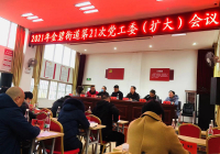 2021年金碧街道第21次党工委 （扩大）会议