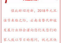 欢度元旦 喜迎新年
