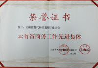 我会被云南省商务厅 云南省人力资源和社会保障厅授予“云南省商务工作先进集体”荣誉称号