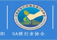 致敬2018 出发2019