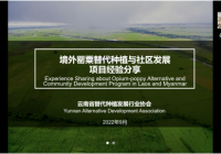 我会负责人受邀向国内社会组织分享替代行业“走出去”工作经验